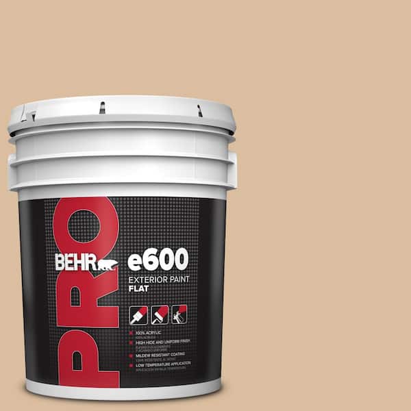 5 gal. #PPU4-14 Renoir Bisque Flat Exterior Paint