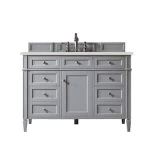 Brittany 48.0 in. W x 23.5 in. D x 34.0 in. H Single Bathroom Vanity in Urban Gray with Lime Delight Quartz Top