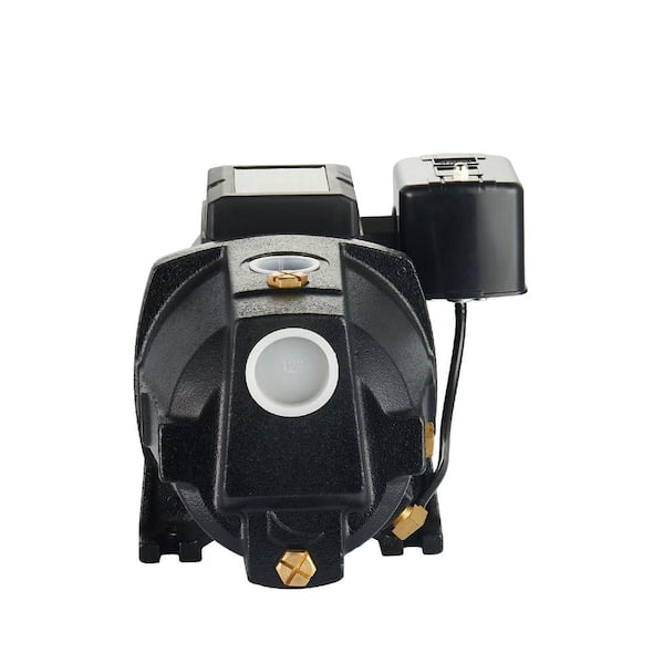 LEO 1 HP 115/230-Volt Cast Iron Shallow Well Jet Pump SJC100 LEO 1 HP 115/230-Volt Cast Iron Shallow Well Jet Pump SJC100