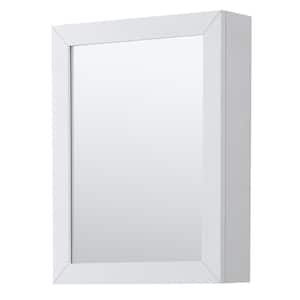 Daria 24 in. W x 30 in. H Framed Wall Mirror in White