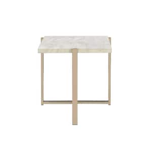 Feit 24 in. Champagne Finish Rectangle Faux Marble End Table