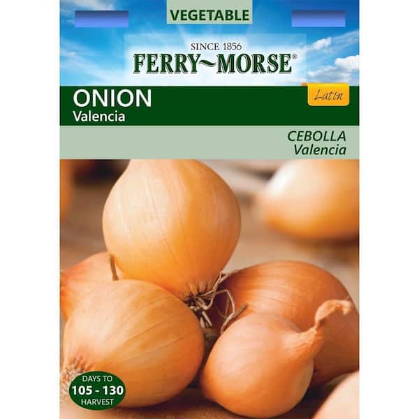 Ferry-Morse Onion Valencia Seed