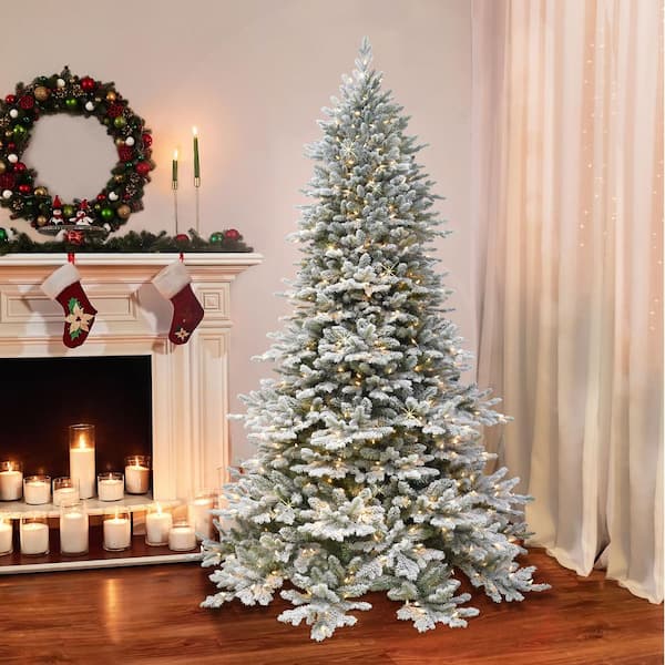 7.5 ft. Prelit Royal Majestic Douglas Fir Flocked Treewith 800 Clear Lights and Real Life Molded Tips