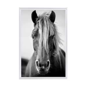 Black and White Wild Horse Framed Canvas Wall Art - 12 in. x 18 in. Size, by Kelly Merkur 1-pc White Frame