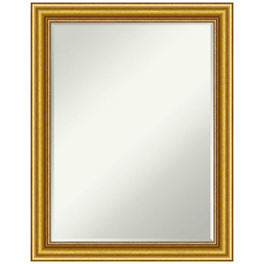 Amanti Art Townhouse Gold 21.5 in. x 27.5 in. Petite Bevel Classic