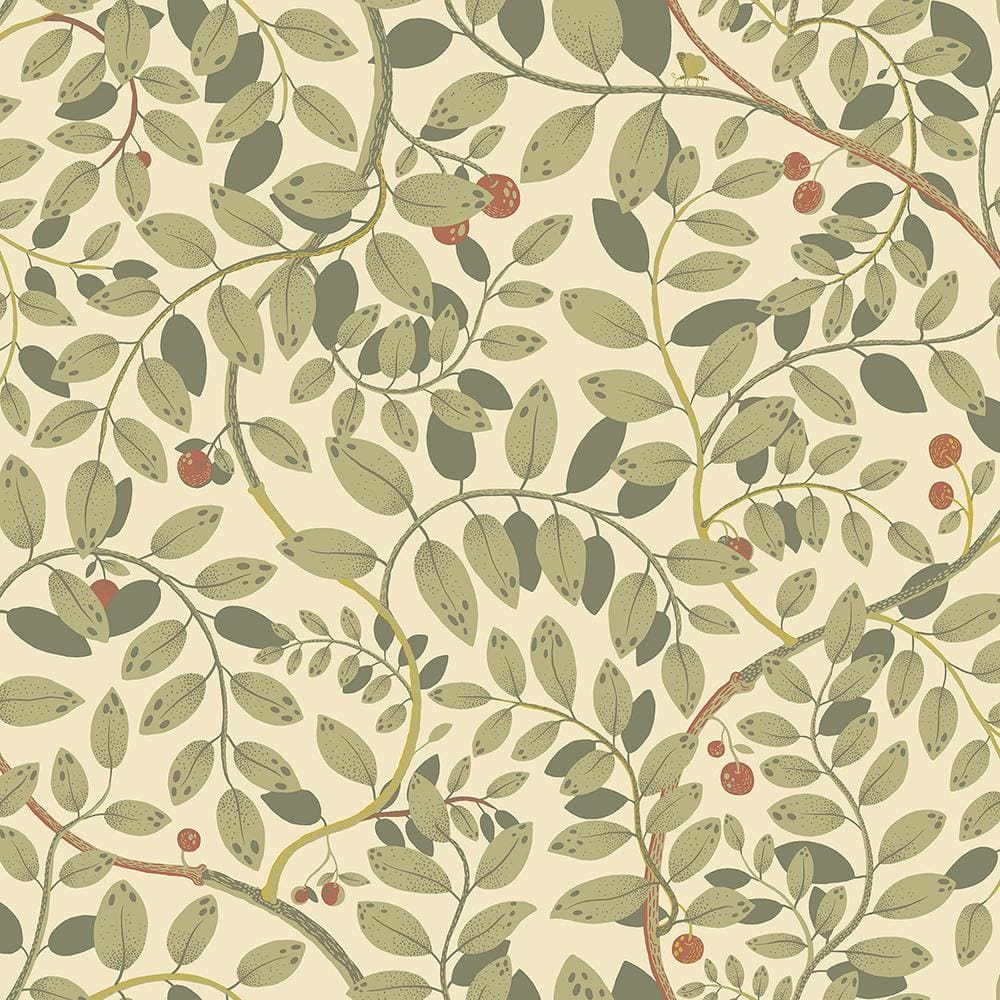 Kirke Green Leafy Vines Wallpaper Sample price history on PriceWatchPro
