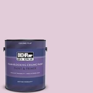 1 gal. #M110-2 Cassia Buds Ceiling Flat Interior Paint and Primer