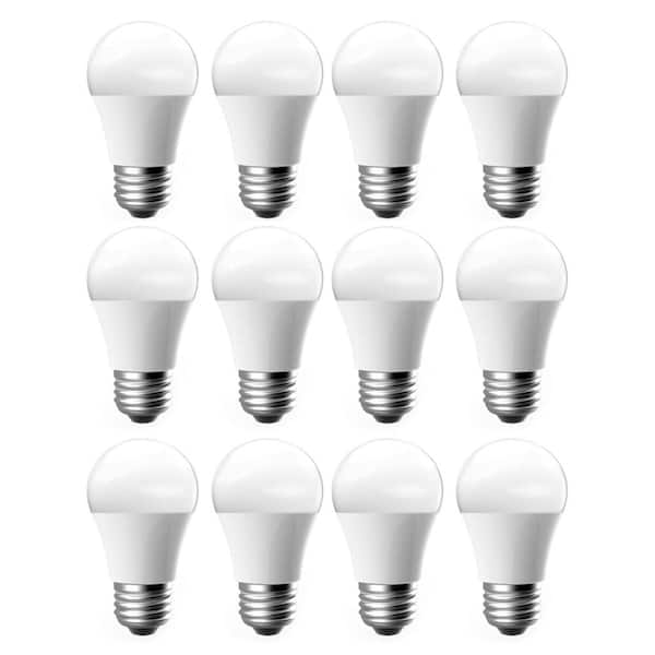 EcoSmart 60-Watt Equivalent A15 Dimmable LED Light Bulb Soft White (12-Pack)