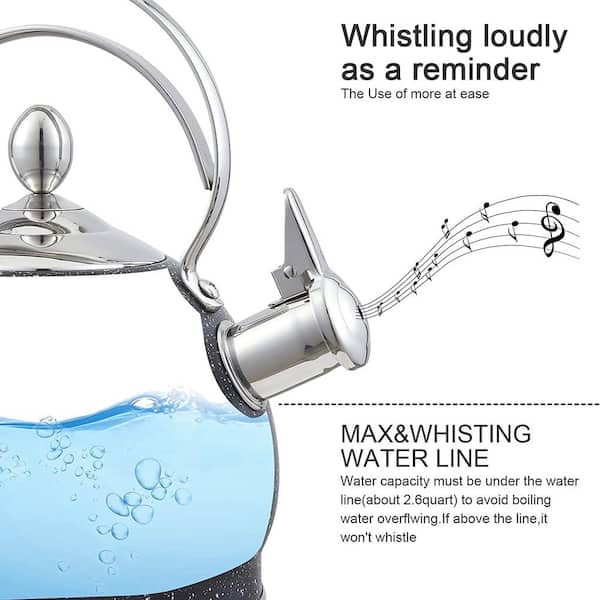 Whistling Tea Kettle Stainless Steel Teapot, Teakettle for Stovetop  Induction Stove Top, Fast Boiling Heat Water Tea Pot 2.6 Quart
