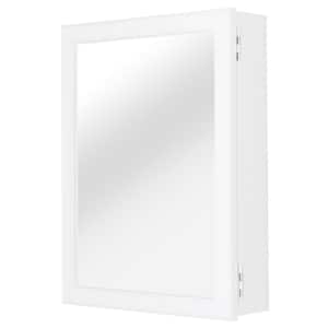 Rosehill 16 in. Surface Mount Medicine Cabinet with Mirror