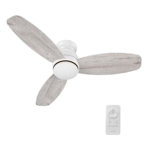 Arran 48 in. Color Changing Integrated LED Indoor Matte White 10-Speed DC Ceiling Fan with Light Kit and Remote Control