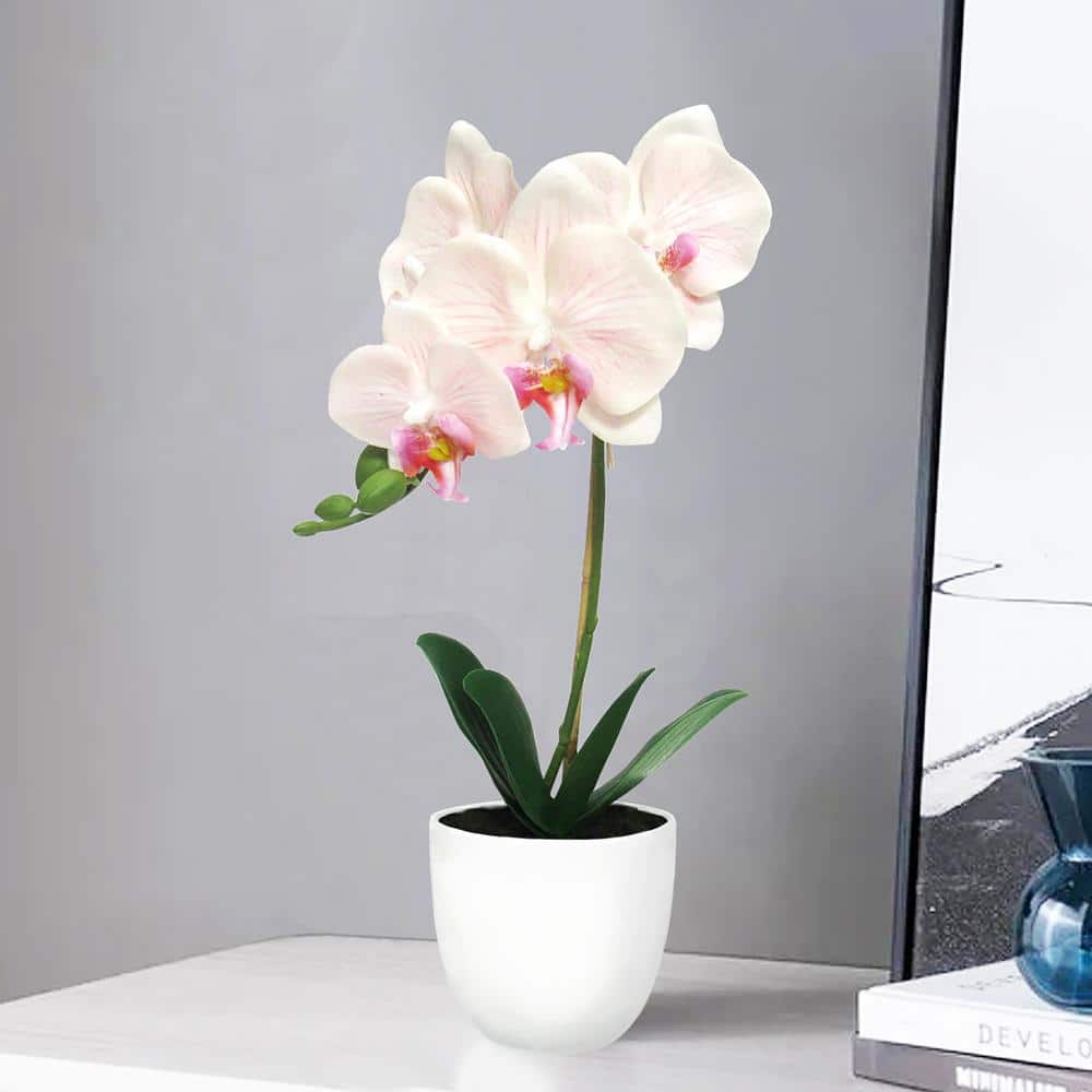 Artificial Silk Butterfly Orchid Flower Phalaenopsis Mini Plant Pot Floral Decor 