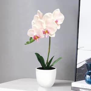 17 in. Blush Peach Artificial Phalaenopsis Orchid Flower Arrangement in White Pot