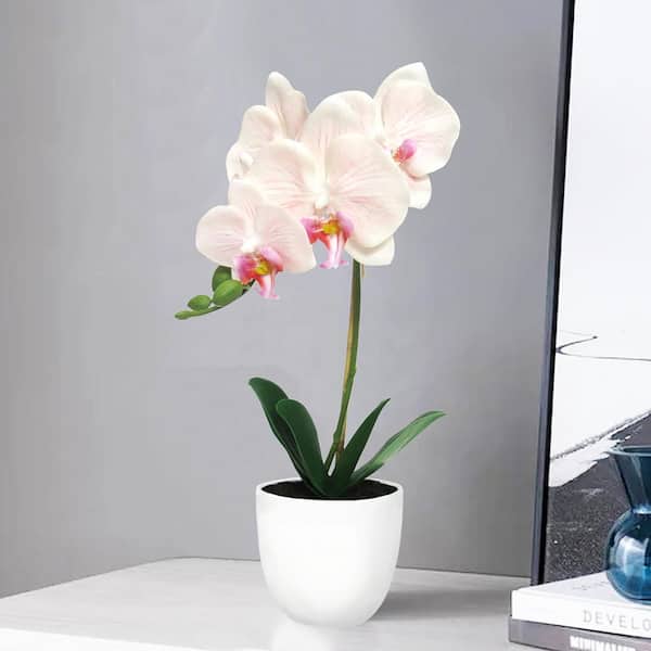 Artificial White Petite Phalaenopsis Orchid Flower Arrangement Vase Plant 