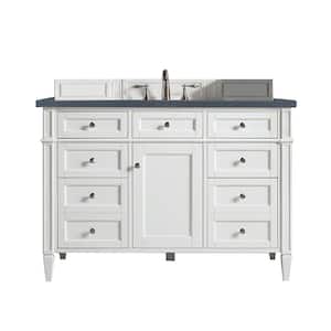 Brittany 48 in. W x 23.5 in.D x 34 in. H Single Vanity in Bright White with Quartz Top in Charcoal Soapstone