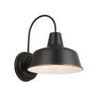 Mason 1-Light Oil Rubbed Bronze Outdoor Wall Light Sconce