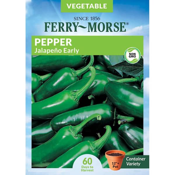 Ferry-Morse Pepper Jalapeno Early Fruit Seed
