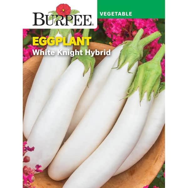 Eggplant White Knight Hybrid Seed
