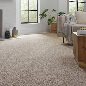 Barx II  - Neutral - Beige 56 oz. Triexta Texture Installed Carpet