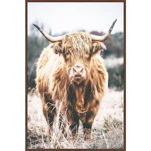 "Scottish Highland Cattle" by Marmont Hill Floater Framed Canvas Animal Art Print 30 in. x 20 in.