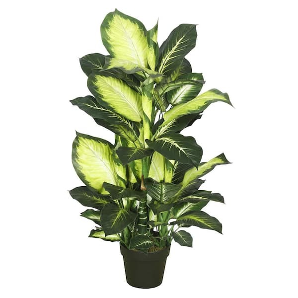 Vickerman 40 in. Artificial Dieffenbachia with Pot-Green White