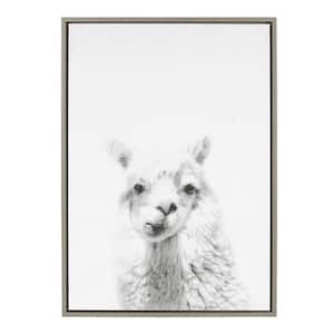 33 in. x 23 in. "Alpaca Portrait" by Tai Prints Framed Canvas Wall Art