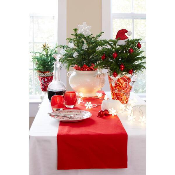 Costa Farms Fresh Norfolk Island Pine In 4 In Grower Pot With Christmas Wrap And Topper 3 Pack 4norfolkpine3pk The Home Depot