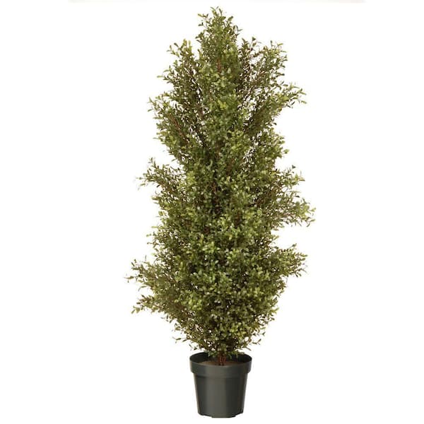 National Tree Company 60 in. Argentea Plant with Round Green Growers Pot