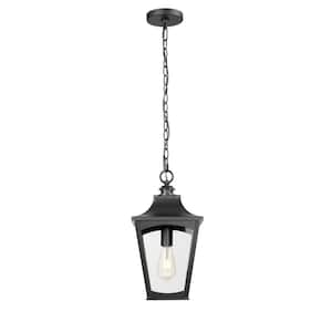 Curry 17.5 in. 1-Light Powder Coated Black Dimmable Outdoor Hardwired Pendant Light with Clear Glass No Bulbs Included