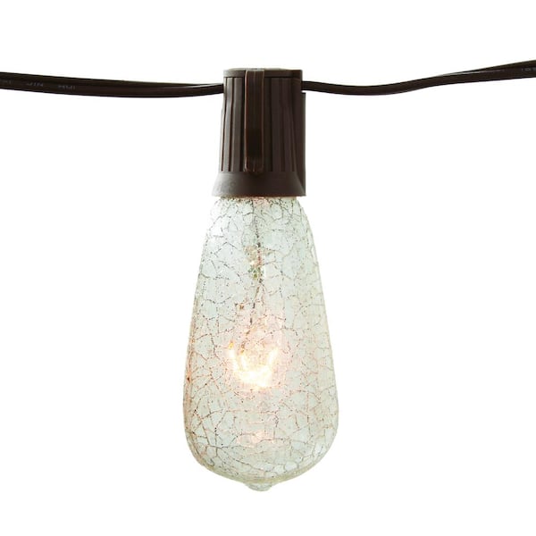 Outdoor/Indoor 10 ft. Plug-In Incandescent ST40 Crackle Bulb String Light (2-Pack)
