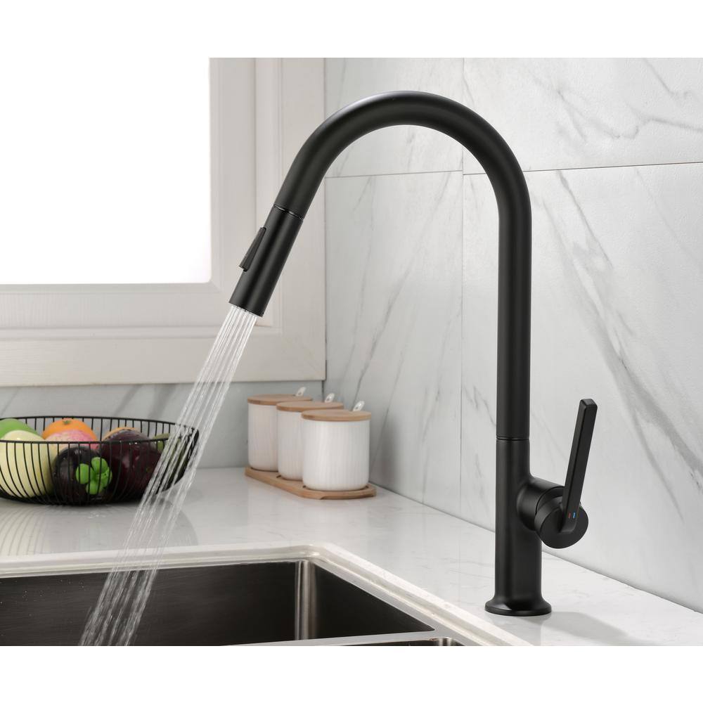 Matte Black Single Handle High-Arc Kitchen Faucet with Pull-out Spray
