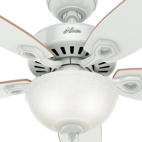 Hunter Fan Company 53089 Builder Deluxe Indoor Ceiling Fan With LED