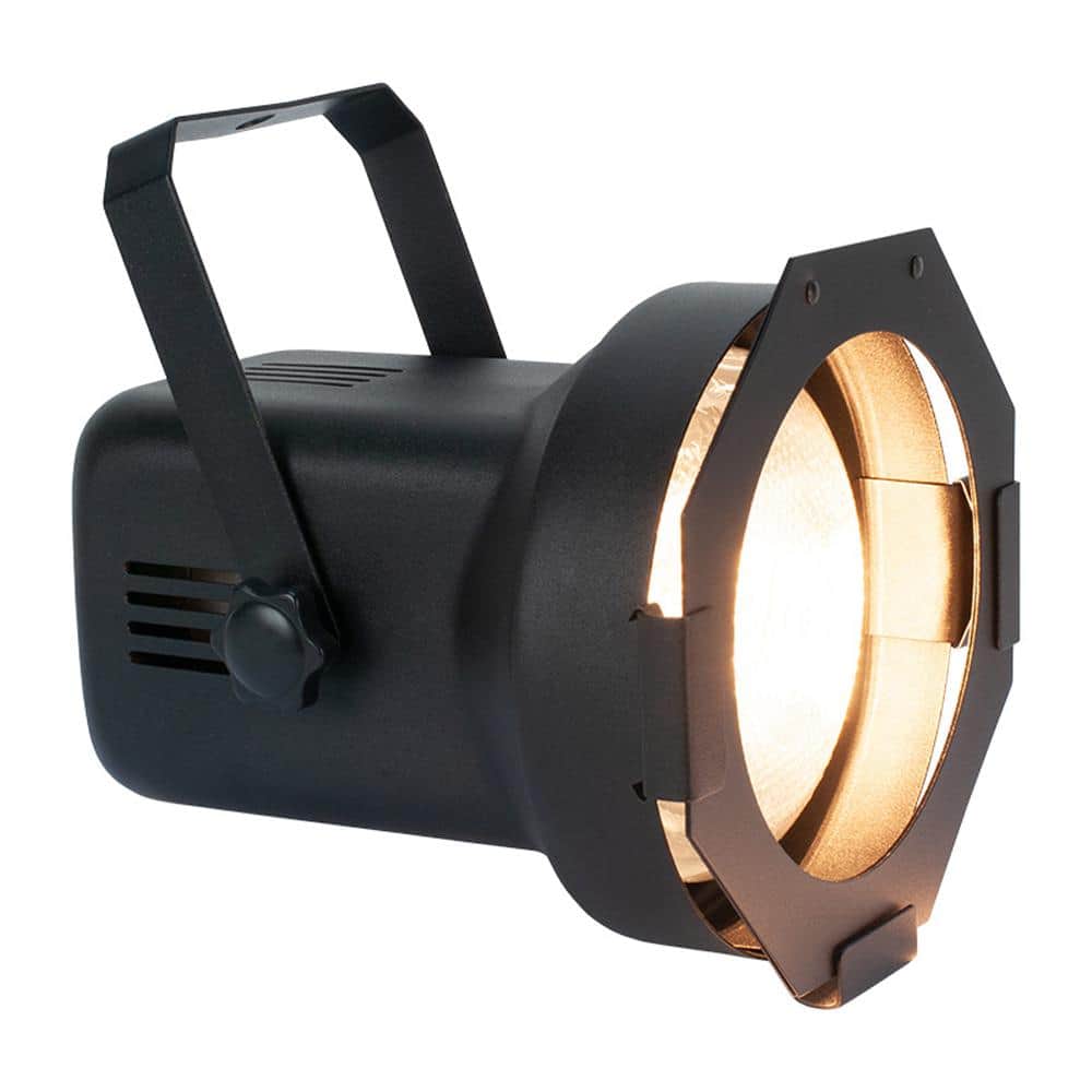 Par 38 EL 150-Watt incandescent Par 38 flood light and lamp black metal hou