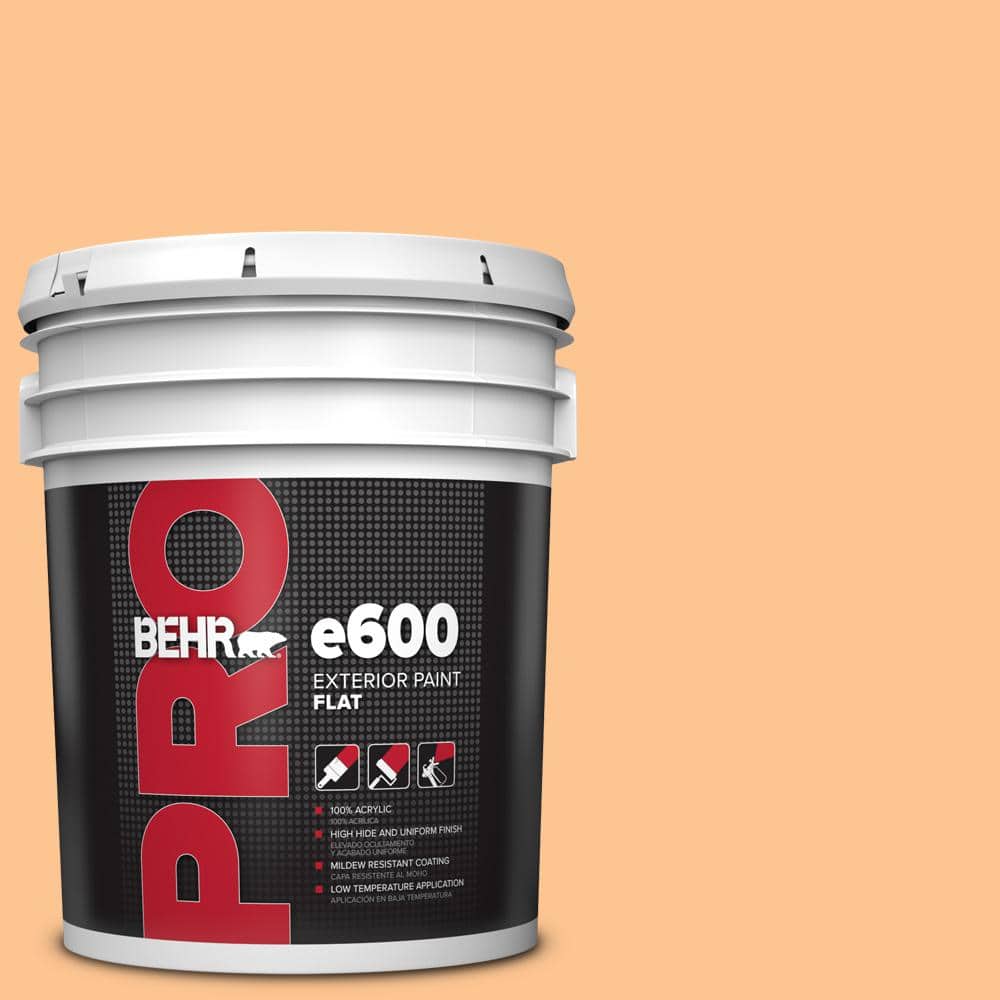 5 gal. #P220-4 Dainty Apricot Flat Paint price history on PriceWatchPro