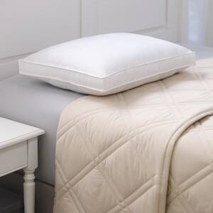 Allied Home Overfilled White Big and Lofty Euro Pillow (Set of 2)  BMI_18006L_2 - The Home Depot