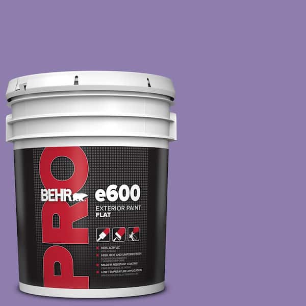 BEHR PRO 5 gal. #PPU16-04 Purple Agate Flat Exterior Paint