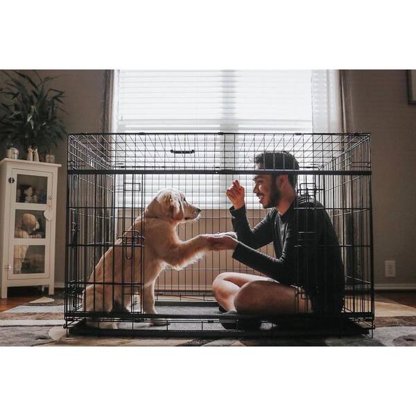 Folding Dog Crate Large - Brown - Duluth Trading Company