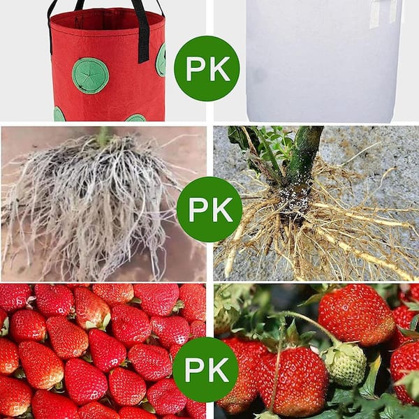 Grow Bags, Strawberry Planter Bags With Handles, Heavy Duty Fabric