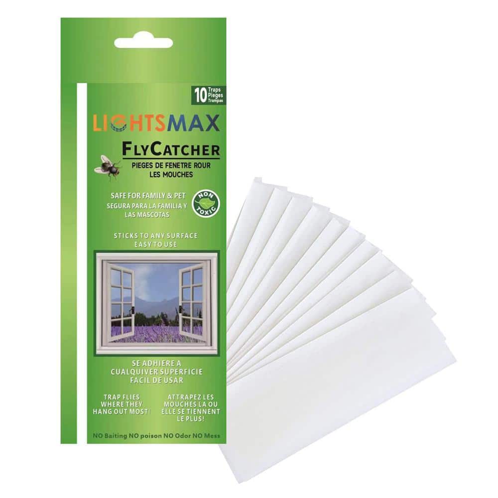 LIGHTSMAX Indoor Sticky Window Fly Mosquito Moth Gnat Trap (10