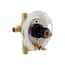 KOHLER Rite-Temp Valve with Diverter K-11748-KS-NA