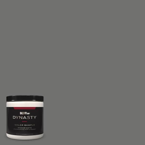 BEHR DYNASTY 8 oz. #MQ2-61 Magnet One-Coat Hide Matte Stain-Blocking Interior/Exterior Paint and Primer Sample