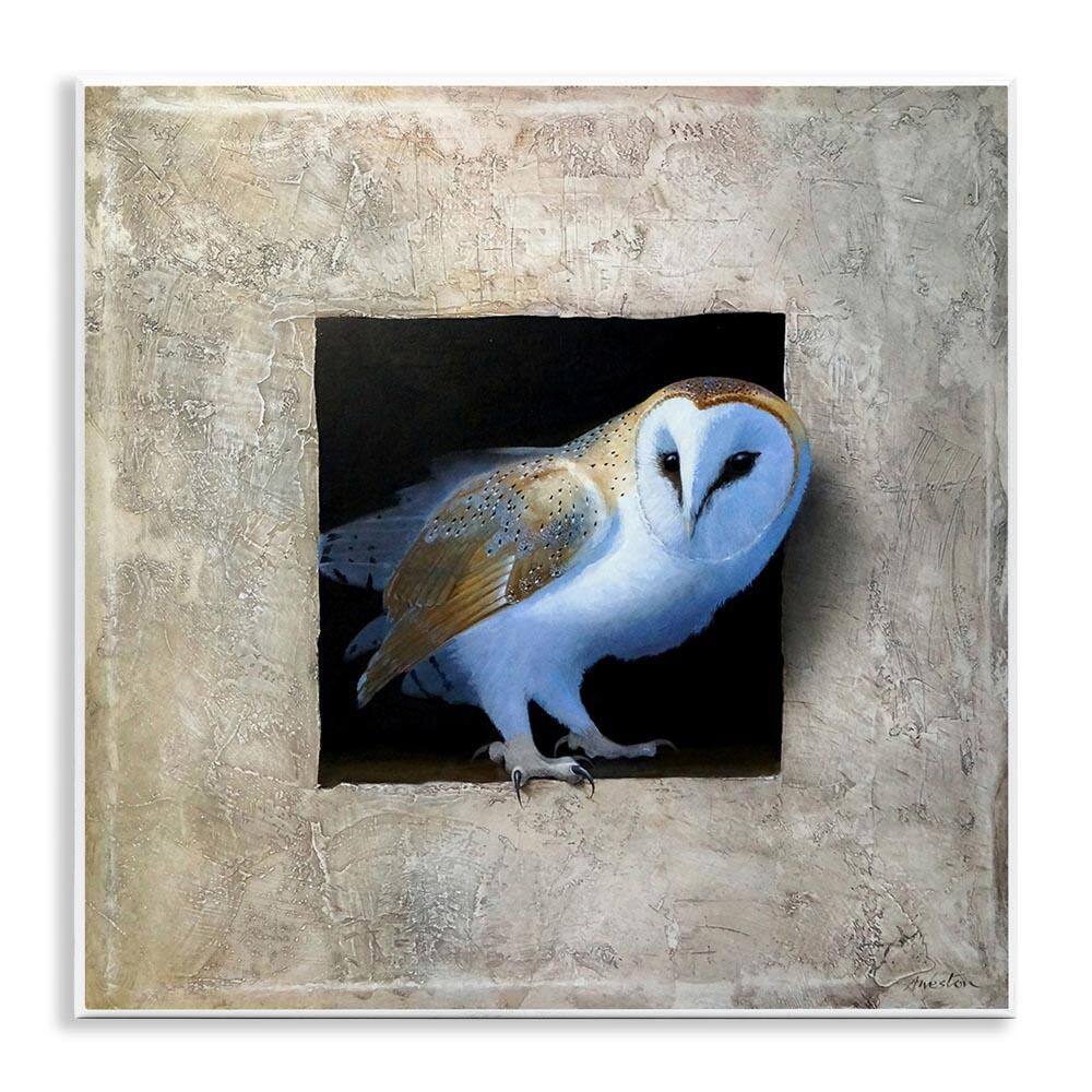 Mysterious Barn Owl Peering by Alan Weston Unframed Graphic Art Print Animal 12 in. x 12 in. price history on PriceWatchPro