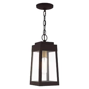 Vaughn 14.5 in. 1-Light Bronze Dimmable Outdoor Pendant Light with Clear Glass and No Bulbs Included