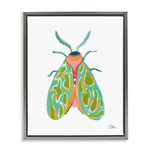Stupell Industries Green Pattern Moth by Jessica Mingo Gray Floater Frame Animal Graphic Art Print 21 in. x 17 in.