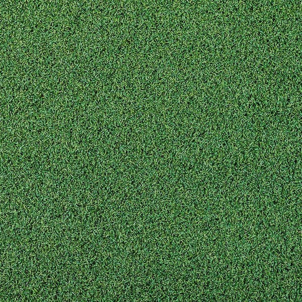 TrafficMaster Putting Green 12 ft. W x Cut to Length Artificial Grass Turf