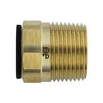 1/2 in. CTS x 3/4 in. NPT Brass ProLock Push-to-Connect Male Connector (10-Pack)