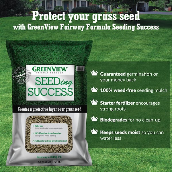 GreenView 2829868 Fairway Formula Grass Seed Kentucky Bluegrass Blend 7 lb 