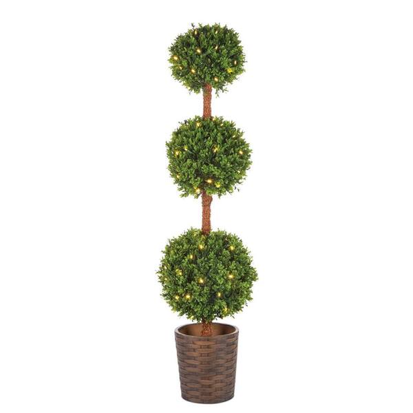 Sterling 4.5 ft. Potted Triple Ball Boxwood Tree