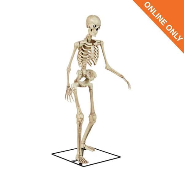 3 FT LED Skelly