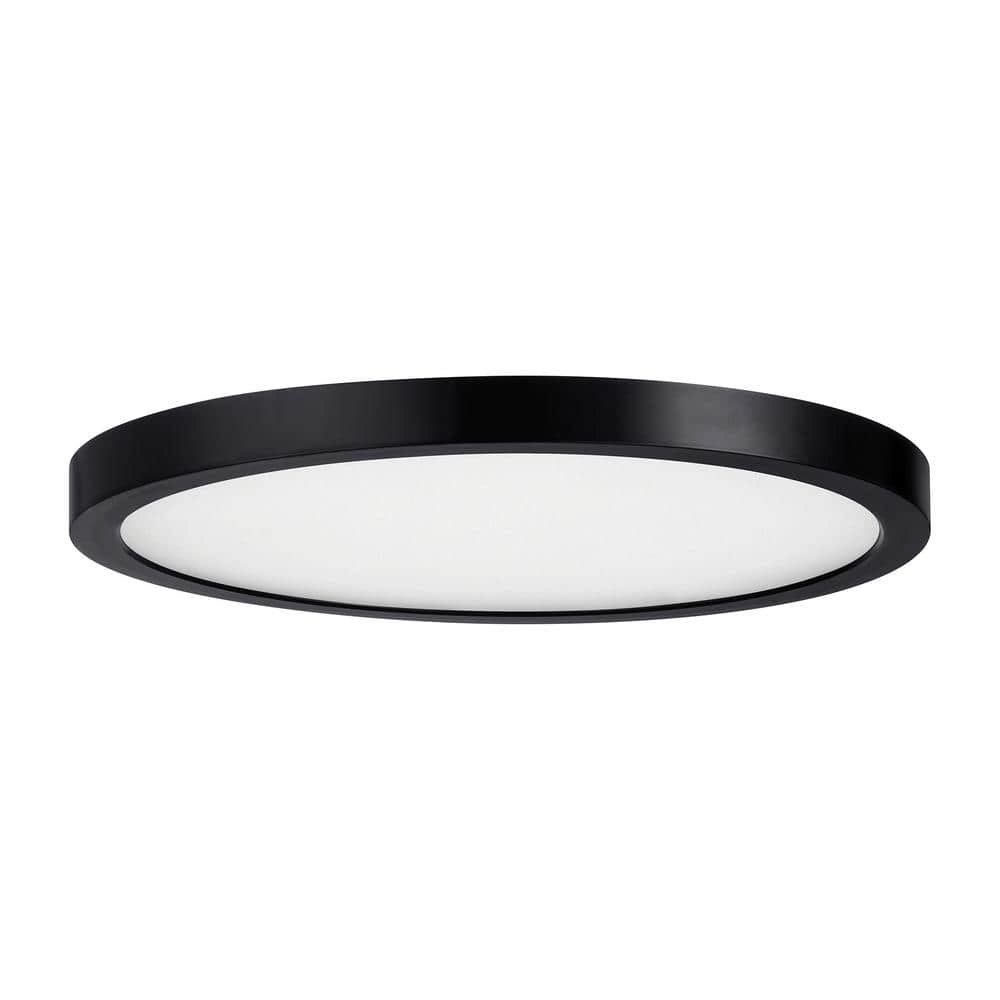 12-inch Black LED Flush Mount Ceiling Light with Clear Shade